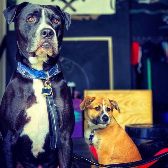 Meet your Posher, Katie - Picture 3 of 3